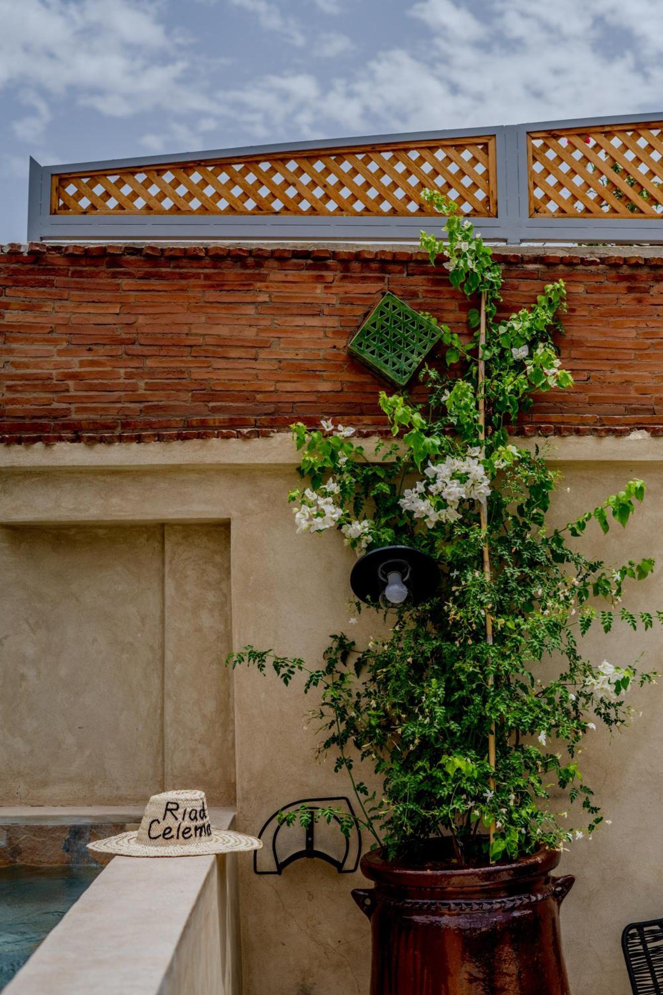 Riad Celema & Spa 마라케시 외부 사진